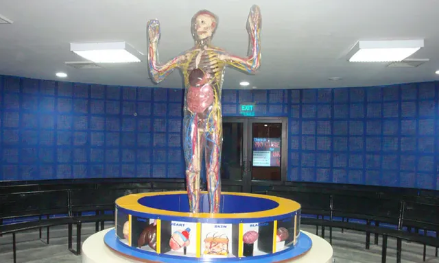 Science City Exhibits — photo 6